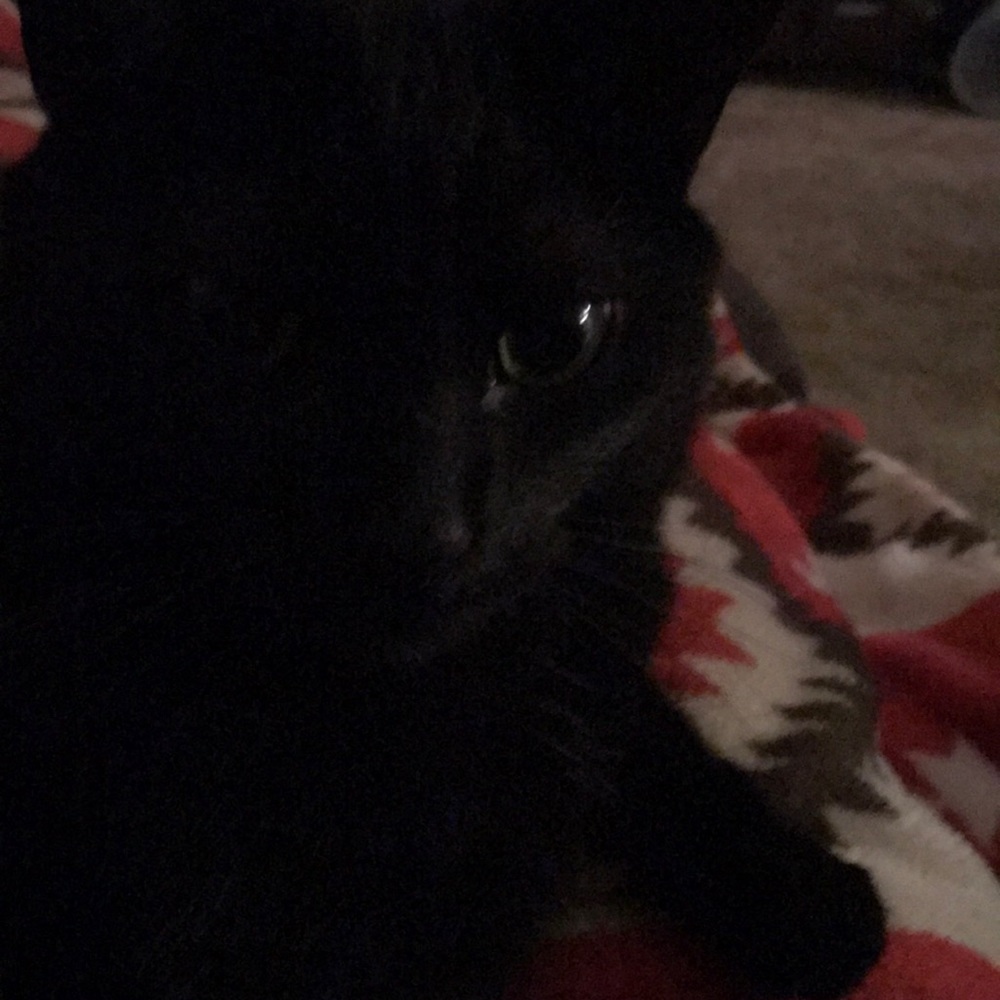 Meet your Posher, Joan